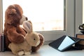 Cute Teddy Bear and bunny looking in tablet computer or touch pad at home on window