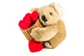 Cute teddy bear carrying bamboo basket full of red heart Royalty Free Stock Photo