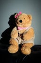 Cute Teddy bear female doll toy is sitting on old vintage sofa