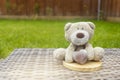 A cute teddy bear holding brown milk chocolate heart sitting on the top of round wooden coaster on plastic rattan in the garden Royalty Free Stock Photo