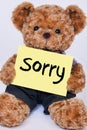 Cute Teddy bear holding a yellow sign that says Sorry Royalty Free Stock Photo