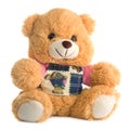 Cute teddy bear, isolated