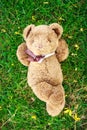 A cute teddy bear lying on grass and notebook to fill. Royalty Free Stock Photo