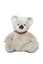 Cute Teddy bear over white