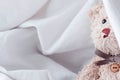 Cute teddy bear play hide and seek with fabric ,Happy feel concept.