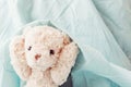 Cute teddy bear playful with fabric ,Happy feel concept