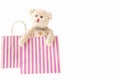 Cute teddy bear with a shopping bag in happy feel