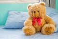 Cute teddy bear sit on the bed in the bedroom with blue pillow. Royalty Free Stock Photo