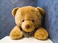 Cute teddy bear sit on the chair in front of dining table. Make it seem like waiting for favorite dish