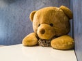 Cute teddy bear sit on the chair in front of dining table. Make it seem like waiting for favorite dish