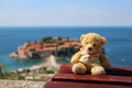 Cute teddy bear sitting on a wooden bench with sea and red roofs island as background