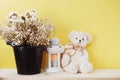 Cute teddy bear sitting on wooden table with dried flower home decoration Royalty Free Stock Photo