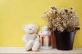 Cute teddy bear sitting on wooden table with dried flower home decoration Royalty Free Stock Photo