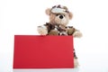 Cute teddy bear in soldier uniform and a blank red color card isolated against white background Royalty Free Stock Photo