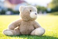 Cute teddy bear toy sitting on green grass in summer Royalty Free Stock Photo