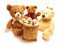 Cute Teddy Bears Royalty Free Stock Photo