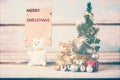 Cute teddy bears and christmas decorations with brown paper for Royalty Free Stock Photo