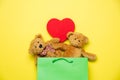 cute teddy bears and heart shaped toy in beautiful green shopping bag on wonderful yellow background Royalty Free Stock Photo