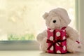 Cute teddy bears holding christmas gift box Royalty Free Stock Photo