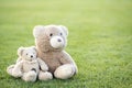 Cute teddy bears toys sitting on green grass in summer Royalty Free Stock Photo