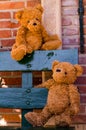 Cute teddybear couple