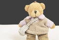 Cute Tedy bear dressed