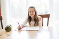 Cute teen girl doing homework at home