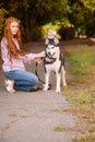 Cute teen girl with red long hair walks with her husky breed dog in the autumn park. Children and dogs.