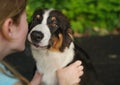 teenage girl kiss australian shepherd puppy dog in summer. Outdoor Royalty Free Stock Photo