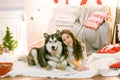 A cute teenage girl with long dark curly hair in a white pullover in a room with a Christmas decor with a large Malamute.