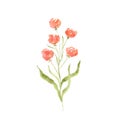 Cute tender watercolor red flowers branch