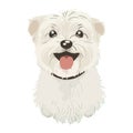 Cute terrier puppy, cheerful mascot