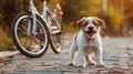 Cute terrier puppy with a playful disposition in the park on a sunny day with a bicycle in the background, banner