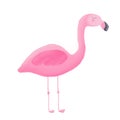 Cute textured flamingo on white background.