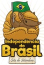 Cute Armadillo in Ball Shape Celebrating Brazil Independence Day, Vector Illustration