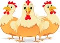 Cute three cartoon hen Royalty Free Stock Photo