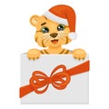 Cute tiger baby with santas hat in gift box.Kawaii character.