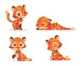 Cute tiger cartoon character, animal cub mascot Royalty Free Stock Photo