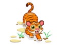 Cute Tiger Cartoon Characters on white background. Kid, baby vector art illustration with funny animal Royalty Free Stock Photo