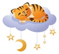 A cute tiger cub sleeps on a starry gentle blue cloud