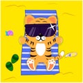 A cute tiger lies on the sand and sunbathes Royalty Free Stock Photo