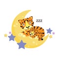 Cute Tiger mom and baby sleep on the moon