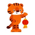 Cute tiger with a red lantern. 2022 chinese new year. Vector illustration in cartoon style. Isolated on a white Royalty Free Stock Photo