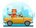 Cute tiger riding on car flat design cartoon character city background vector illustration