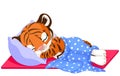 Cute Tiger Sleeping Royalty Free Stock Photo