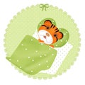 Cute tiger sleeping white Royalty Free Stock Photo