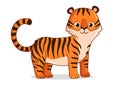 Cute tiger stands on a white background.