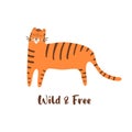 Cute tiger. Wild cat illustration. Hand drawn tiger animal. Wild life print. Isolated graphic element. Royalty Free Stock Photo