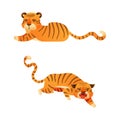 Cute tigers set. Furious and relaxed wild jungle predator animal cartoon vector illustration Royalty Free Stock Photo