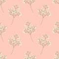 Cute tiny white flowers, baby`s breath, Gypsophila flowers seamless pattern background. Doodle summer floral pattern background.